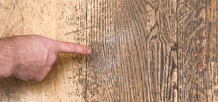 Wood Door Scratch Repair in Fullerton